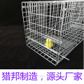 Double Door Animal Catch Collapsible Cat Traps Cage